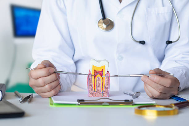 Best Emergency Dentist for Lost Fillings or Crowns in Great Neck Estates, NY
